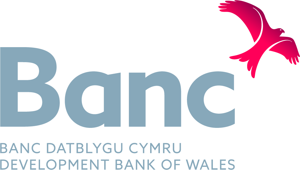 Development Bank of Wales logo